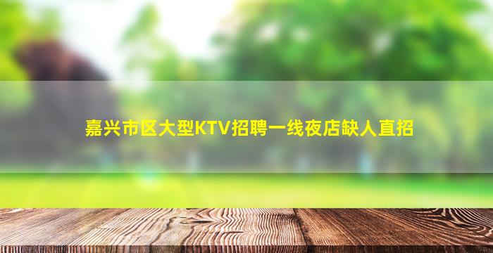 嘉兴市区大型KTV招聘一线夜店缺人直招